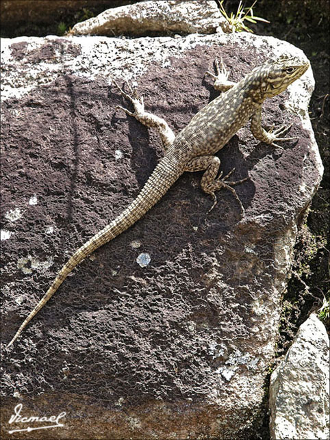 Foto de Machu Picchu, Perú