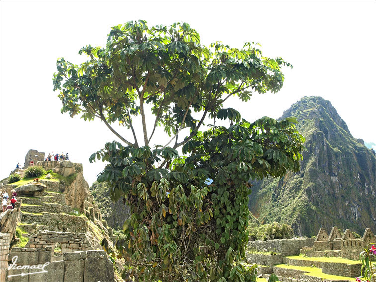 Foto de Machu Picchu, Perú