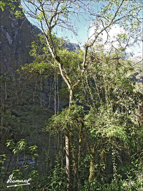 Foto de Aguas Calientes, Perú