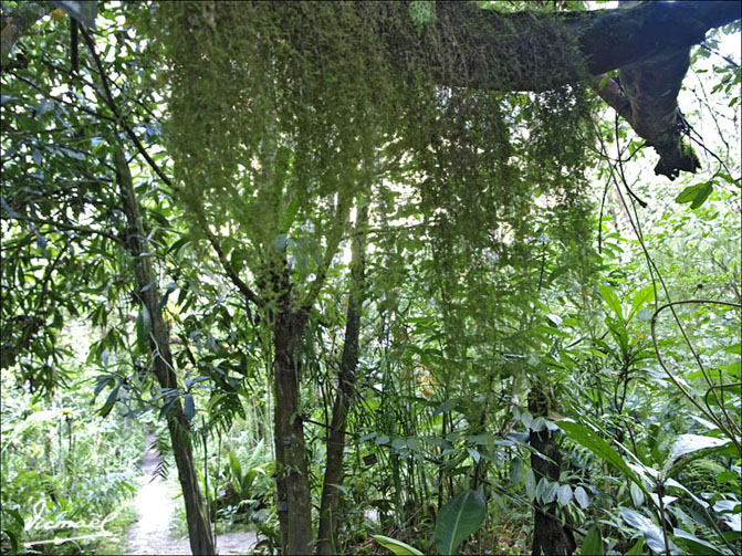 Foto de Aguas Calientes, Perú