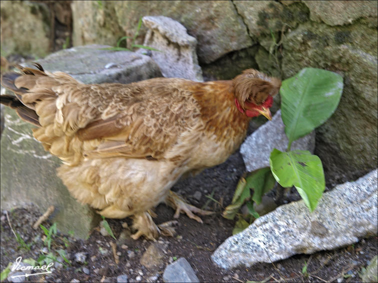 Foto de Aguas Calientes, Perú