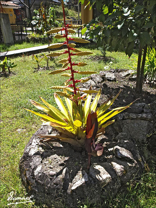 Foto de Aguas Calientes, Perú