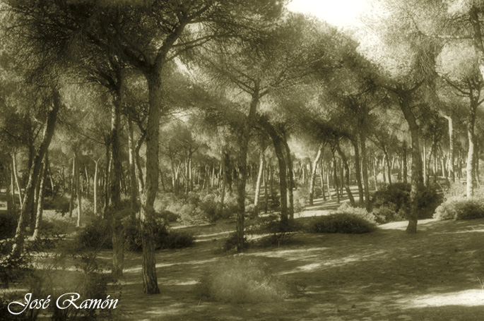 Foto de Cádiz (Andalucía), España