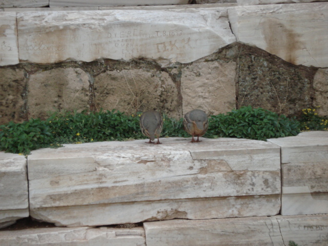 Foto de Atenas, Grecia