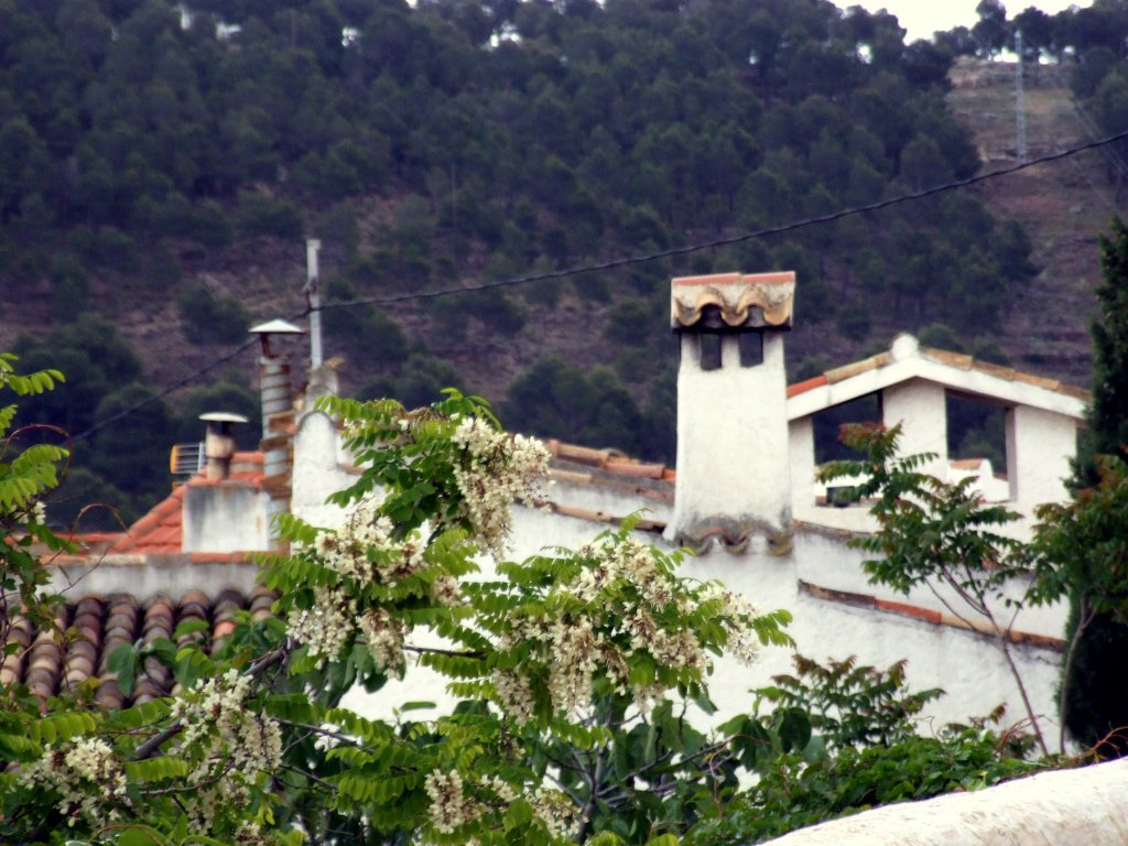 Foto de Chinchilla de Monte-Aragon (Albacete), España
