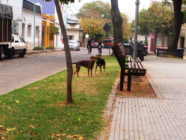 Foto de Buenos Aires, Argentina
