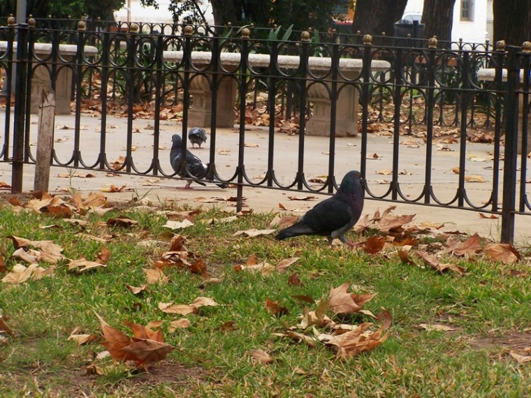 Foto de Buenos Aires, Argentina
