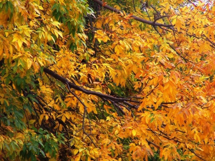 Foto de Buenos Aires, Argentina