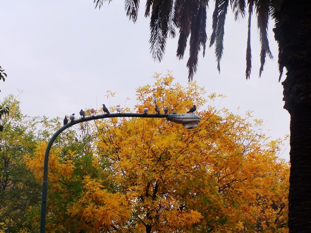 Foto de Buenos Aires, Argentina