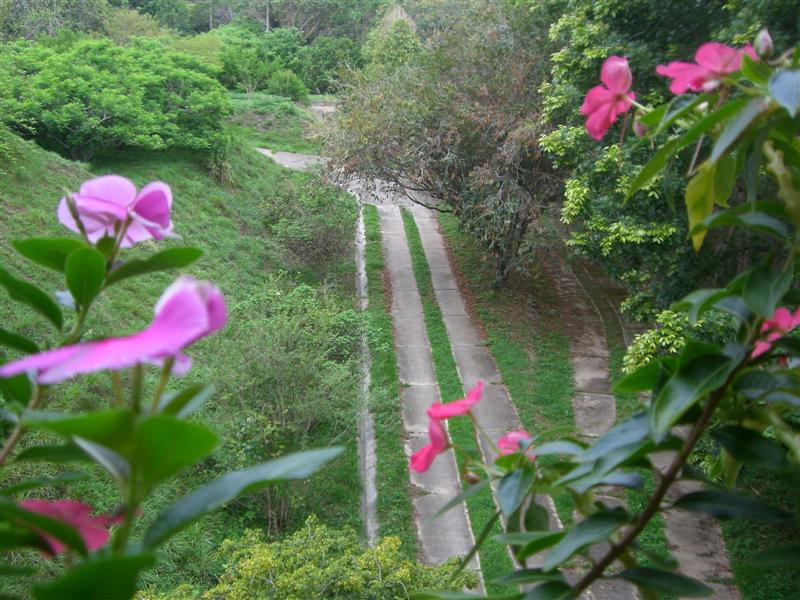 Foto de Carabobo - GüIgüe, Venezuela