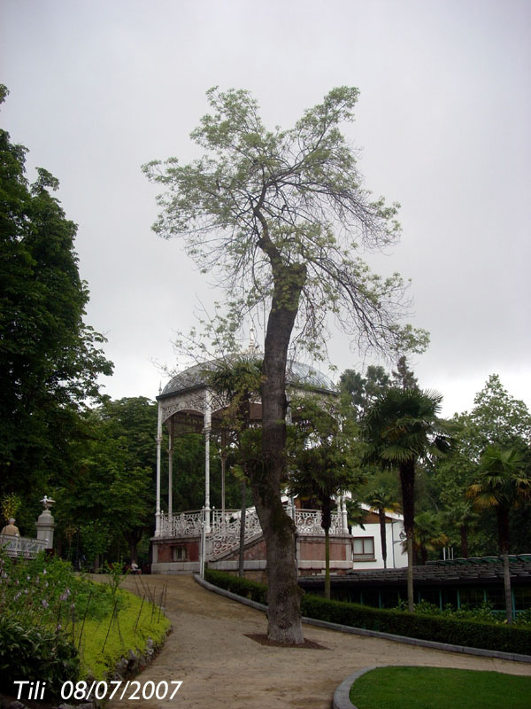 Foto de Oviedo (Asturias), España