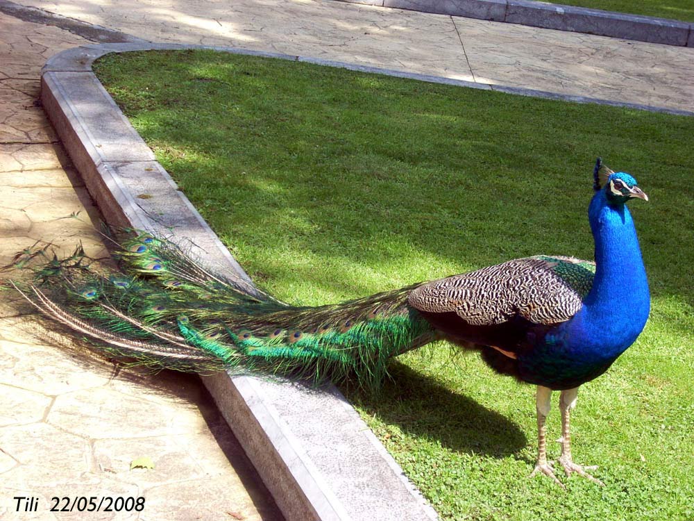 Foto de Oviedo (Asturias), España