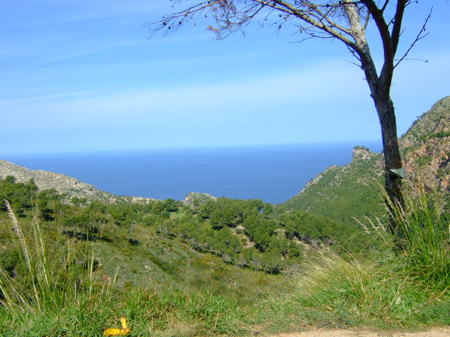 Foto de Alcúdia (Illes Balears), España