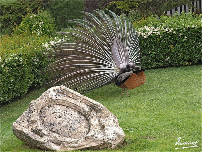 Foto de Calatayud (Zaragoza), España