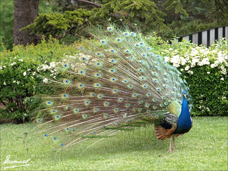 Foto de Calatayud (Zaragoza), España