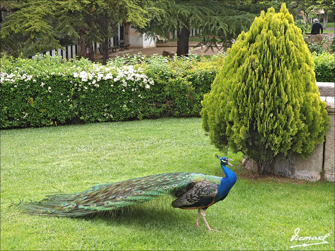 Foto de Calatayud (Zaragoza), España