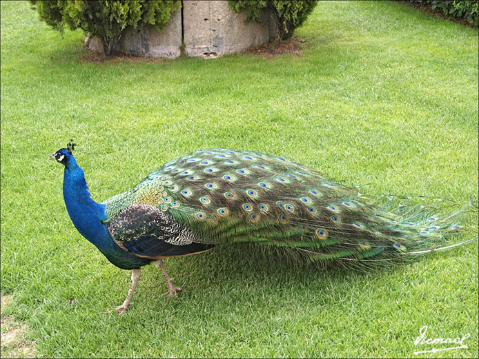 Foto de Calatayud (Zaragoza), España