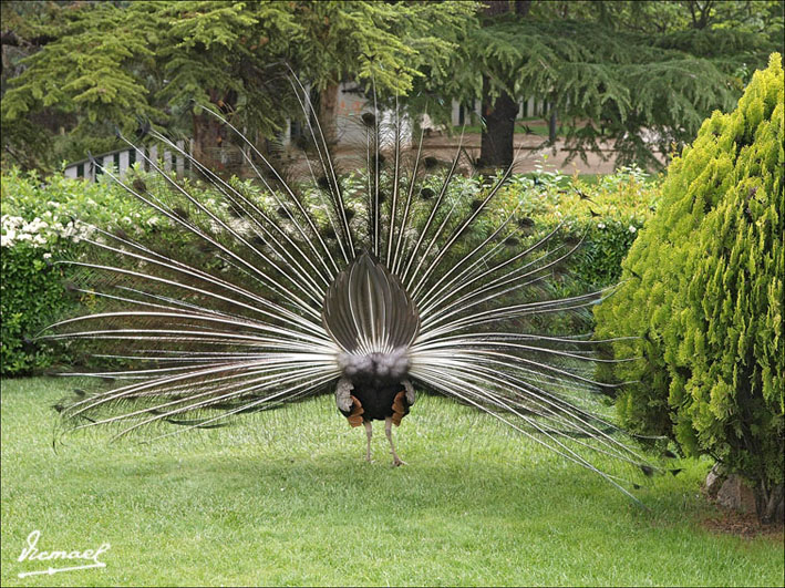 Foto de Calatayud (Zaragoza), España