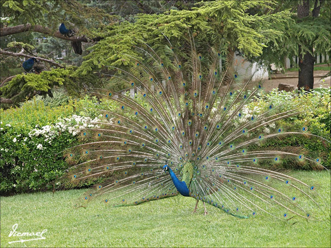 Foto de Calatayud (Zaragoza), España