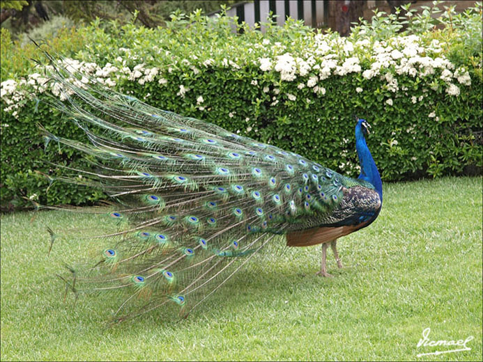 Foto de Calatayud (Zaragoza), España