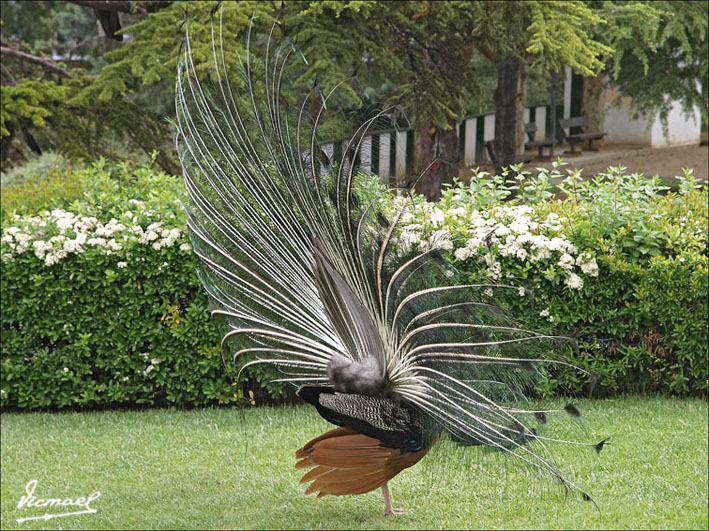 Foto de Calatayud (Zaragoza), España