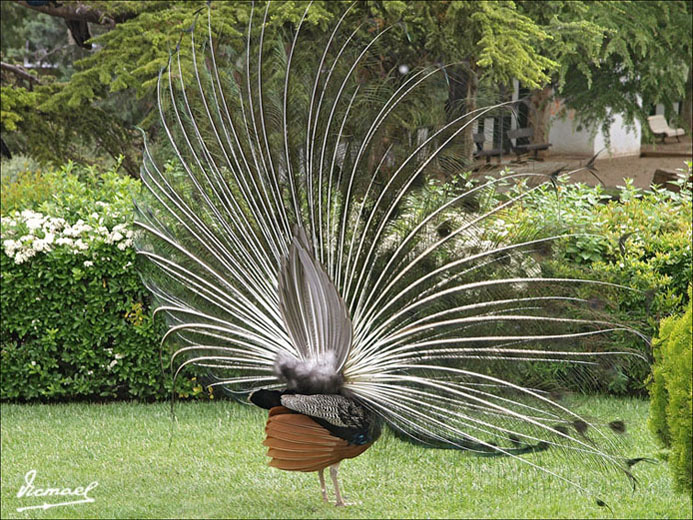 Foto de Calatayud (Zaragoza), España