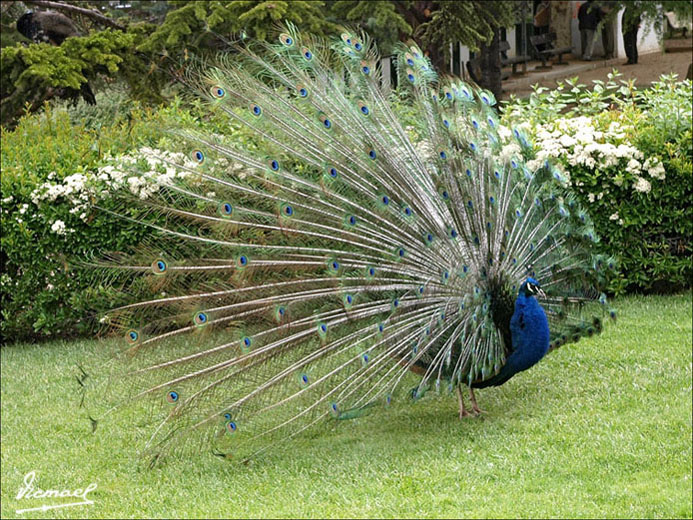 Foto de Calatayud (Zaragoza), España
