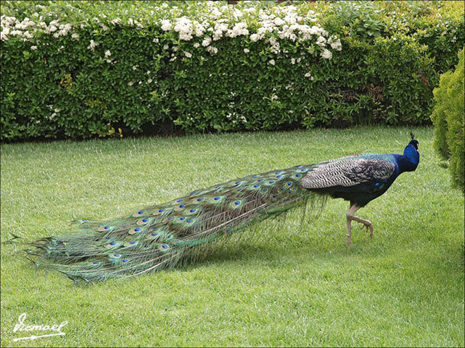 Foto de Calatayud (Zaragoza), España