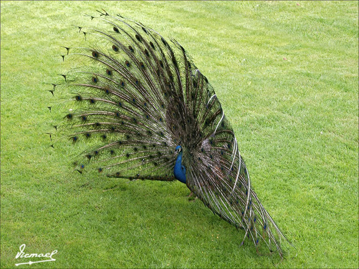 Foto de Calatayud (Zaragoza), España
