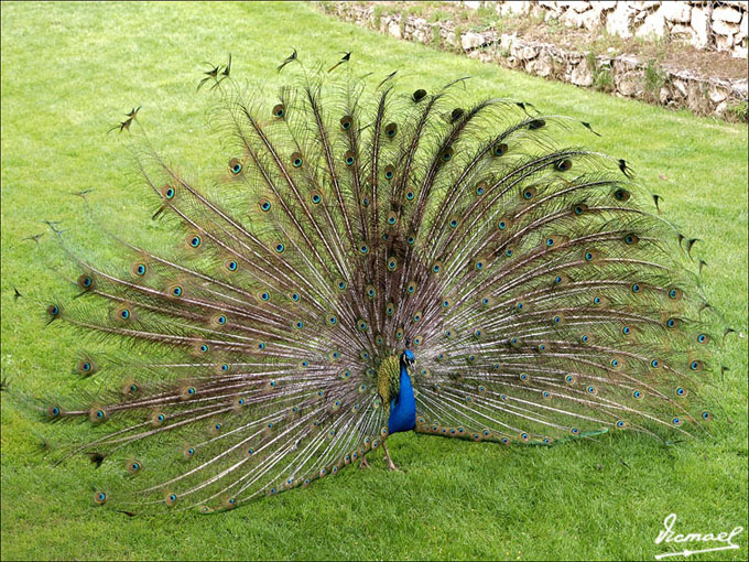 Foto de Calatayud (Zaragoza), España