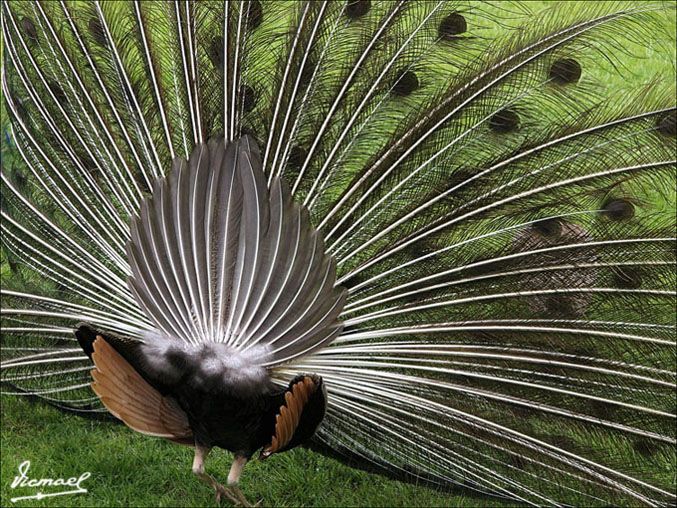 Foto de Calatayud (Zaragoza), España