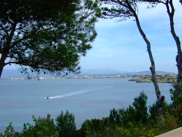 Foto de Palma de Mallorca (Illes Balears), España