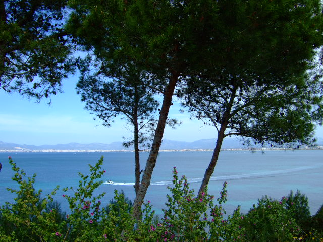 Foto de Palma de Mallorca (Illes Balears), España