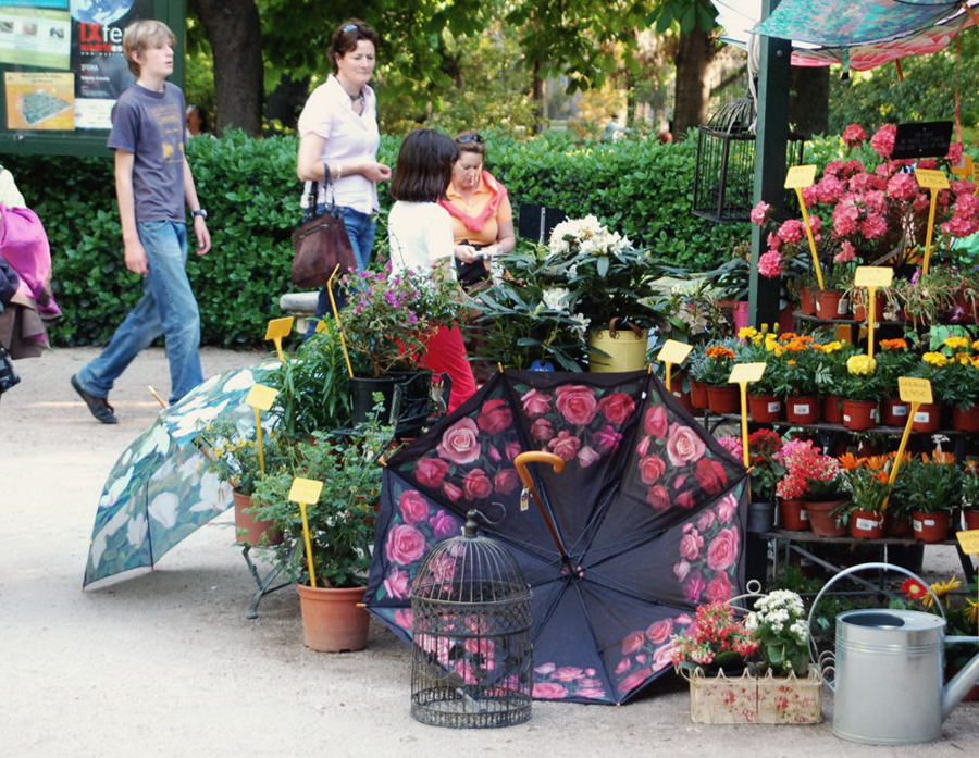 Foto de Madrid (Comunidad de Madrid), España