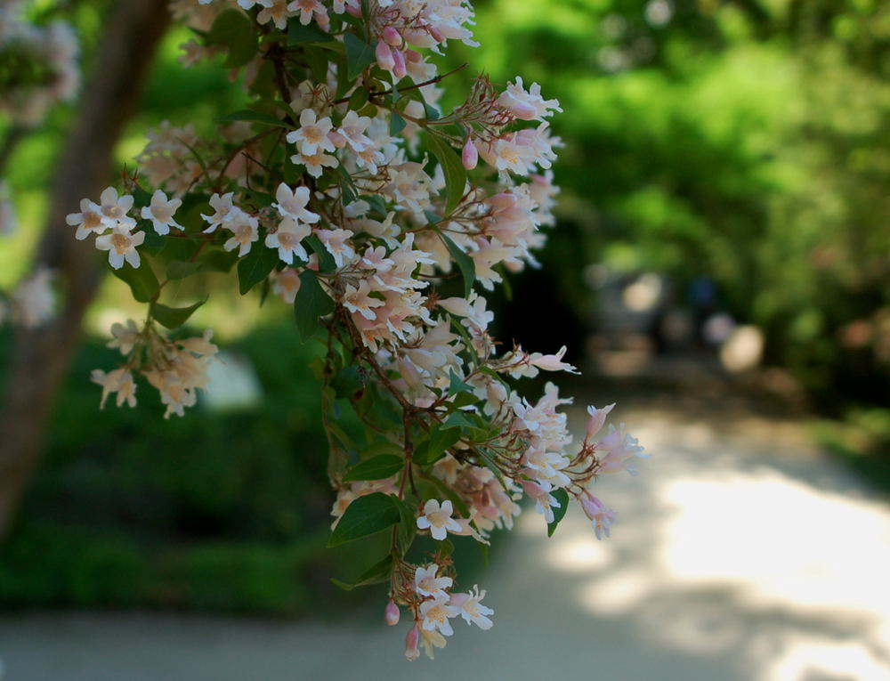 Foto de Madrid (Comunidad de Madrid), España