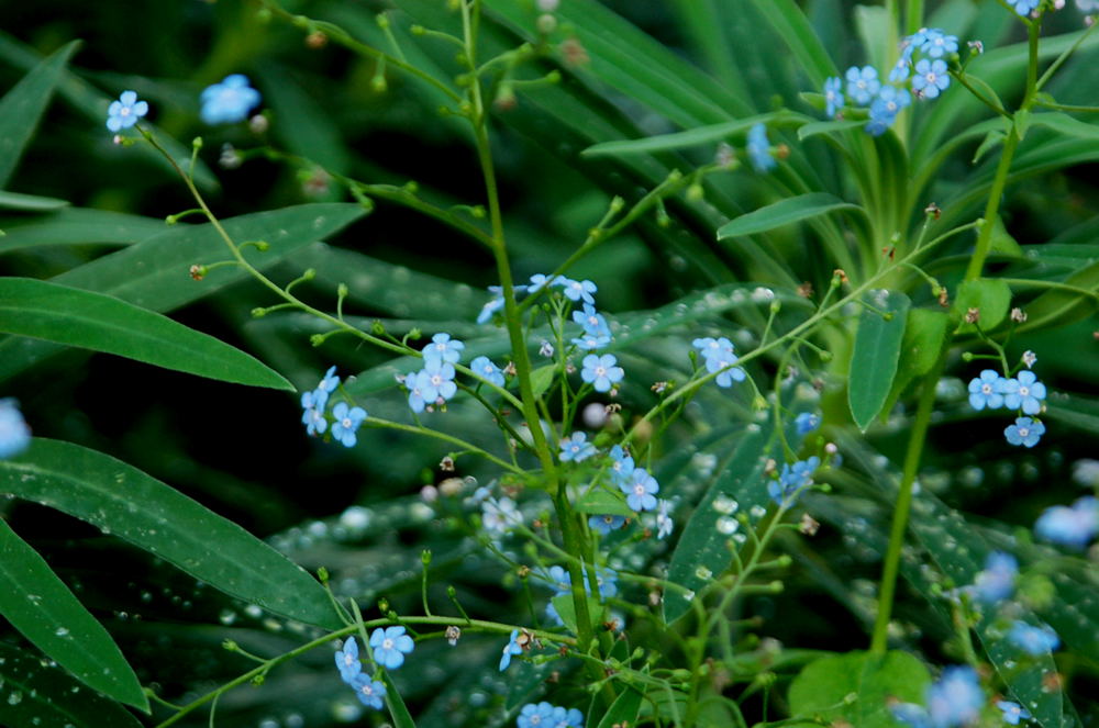 Foto de Madrid (Comunidad de Madrid), España