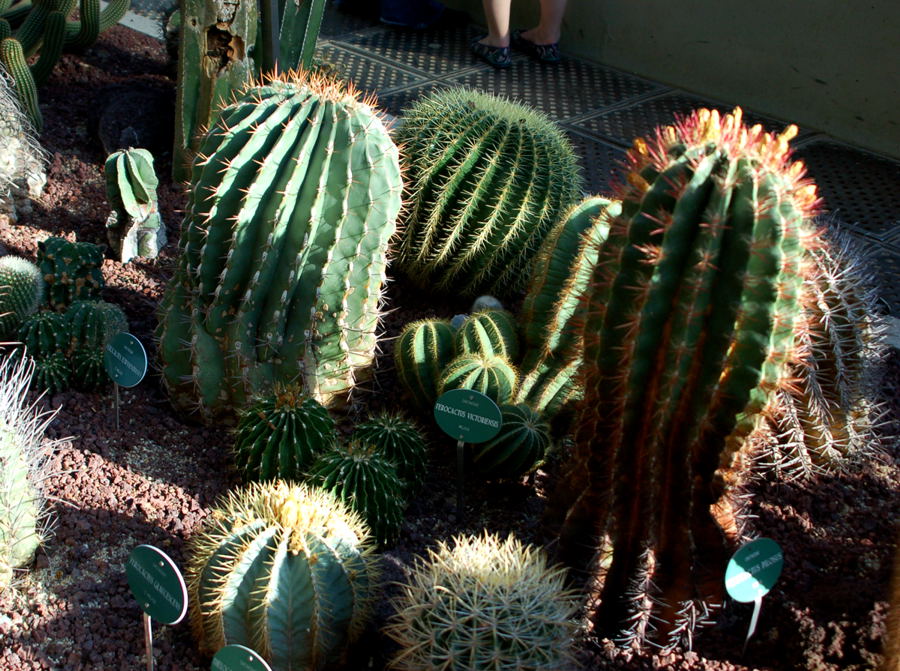 Foto de Madrid (Comunidad de Madrid), España