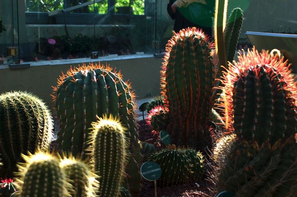 Foto de Madrid (Comunidad de Madrid), España