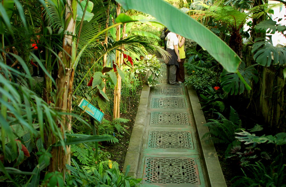 Foto de Madrid (Comunidad de Madrid), España