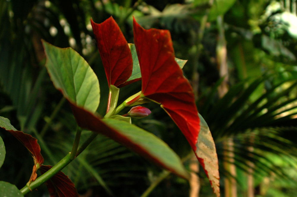Foto de Madrid (Comunidad de Madrid), España