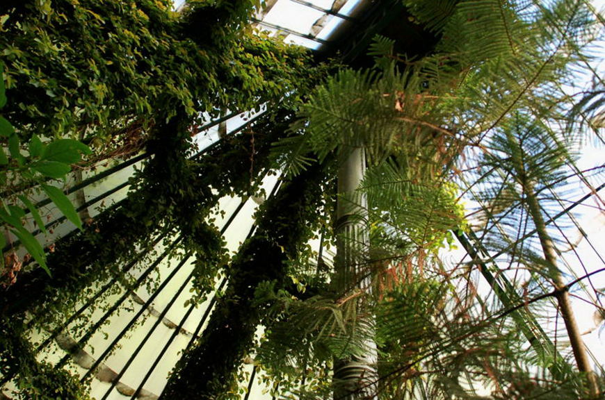 Foto de Madrid (Comunidad de Madrid), España