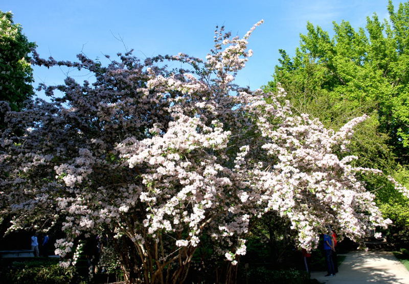 Foto de Madrid (Comunidad de Madrid), España