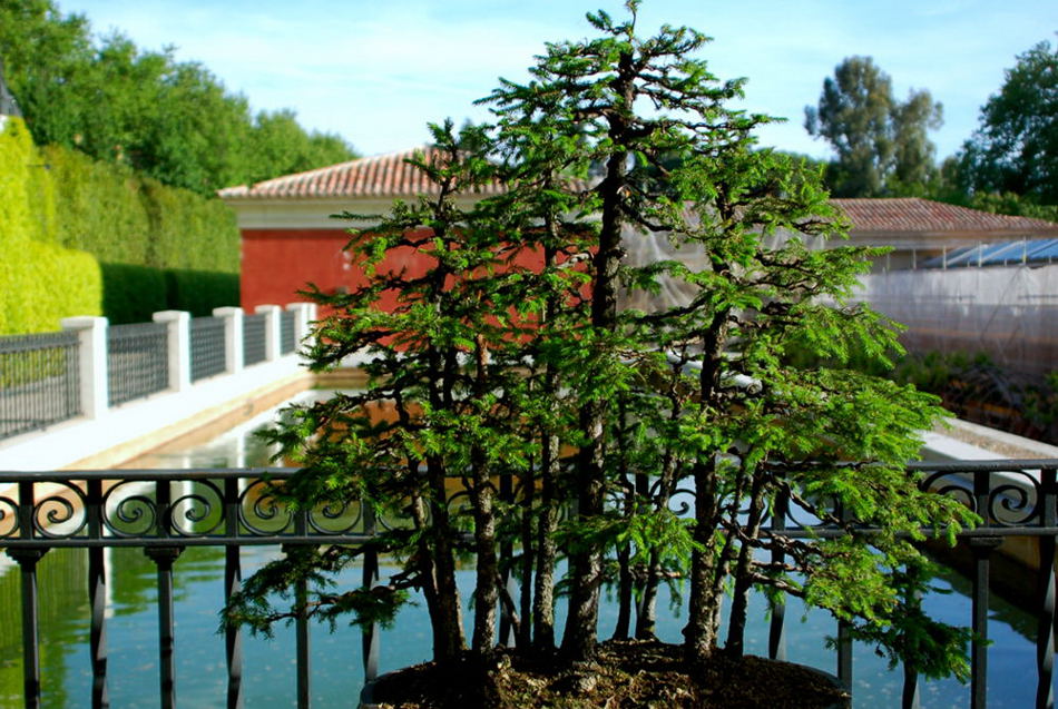 Foto de Madrid (Comunidad de Madrid), España