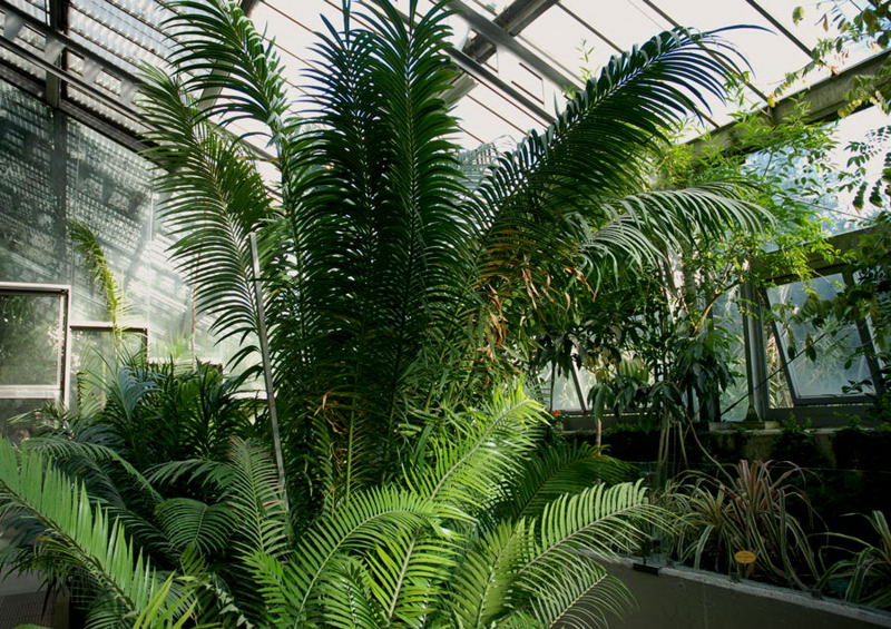 Foto de Madrid (Comunidad de Madrid), España