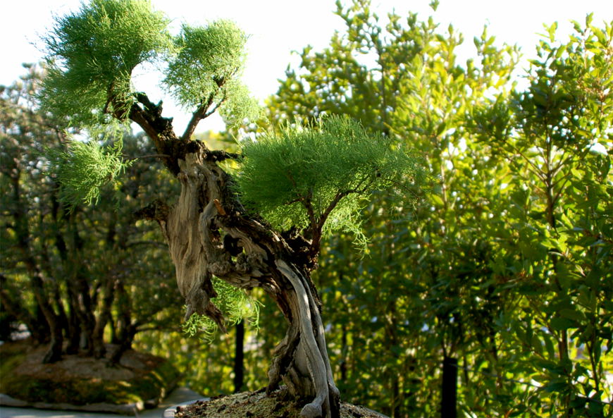 Foto de Madrid (Comunidad de Madrid), España