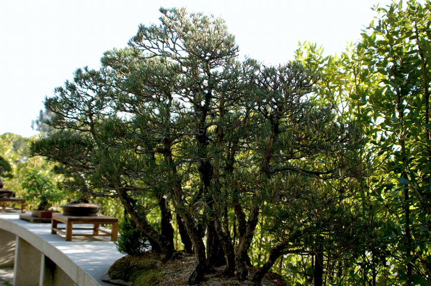Foto de Madrid (Comunidad de Madrid), España