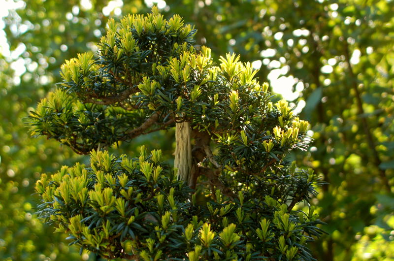 Foto de Madrid (Comunidad de Madrid), España