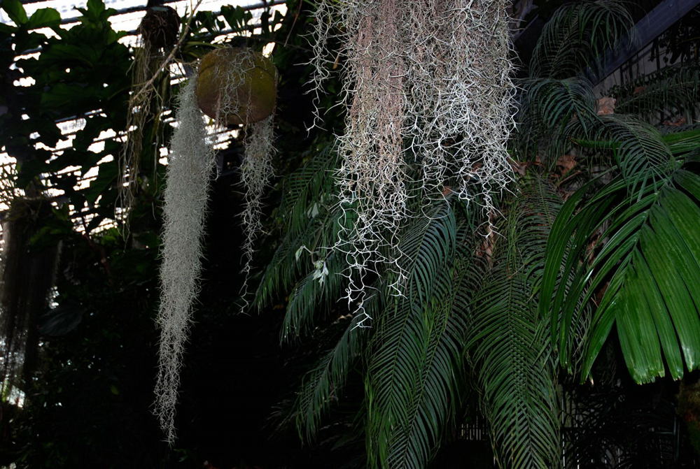 Foto de Madrid (Comunidad de Madrid), España
