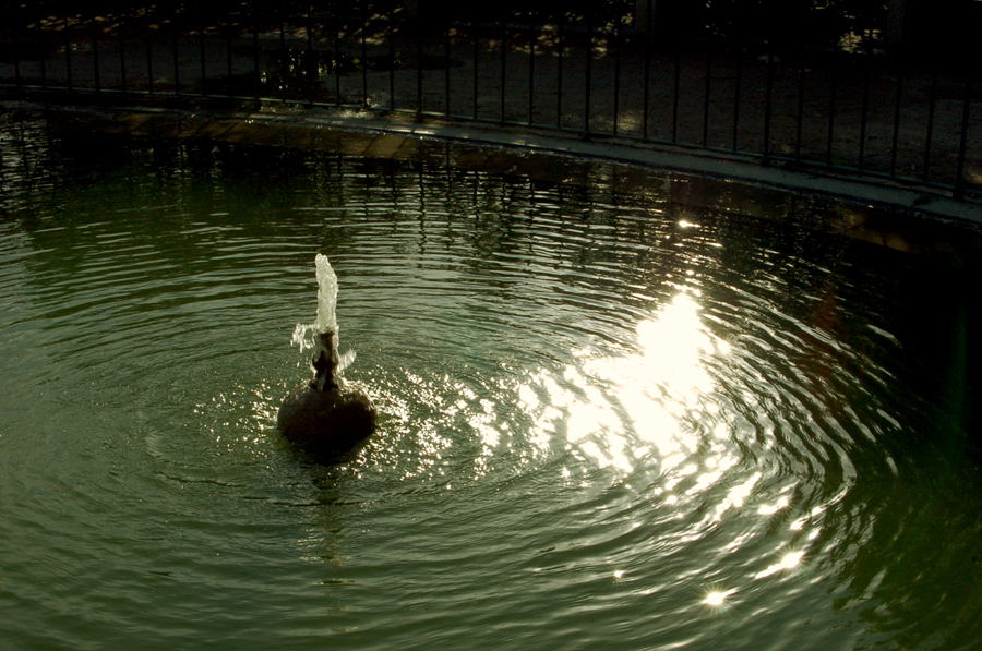 Foto de Madrid (Comunidad de Madrid), España