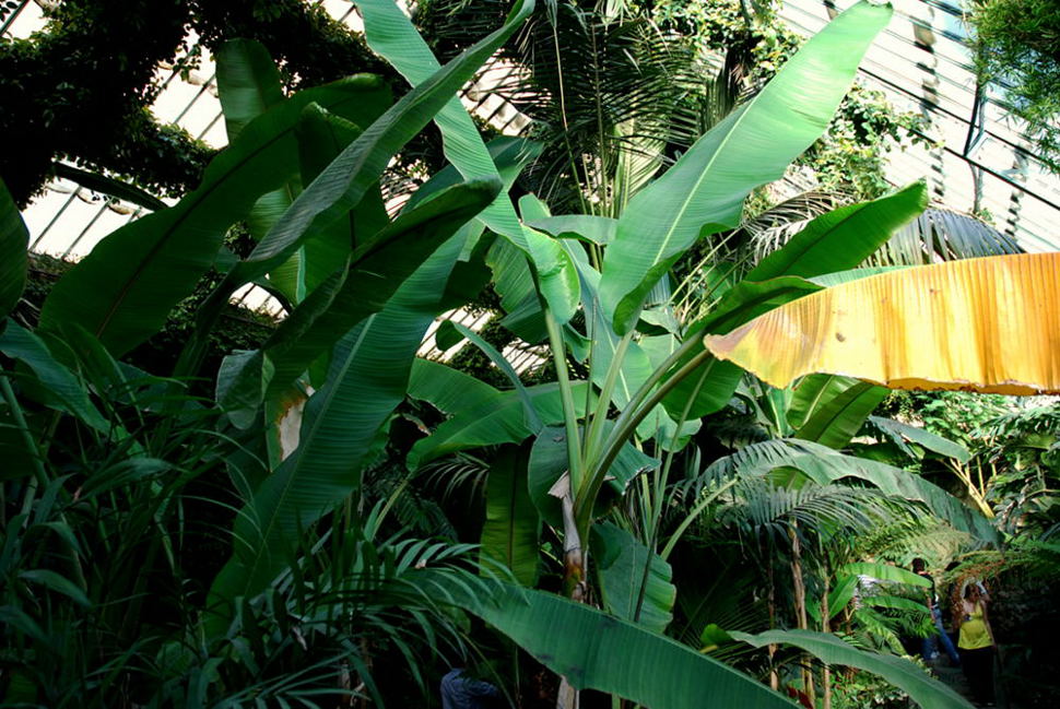 Foto de Madrid (Comunidad de Madrid), España